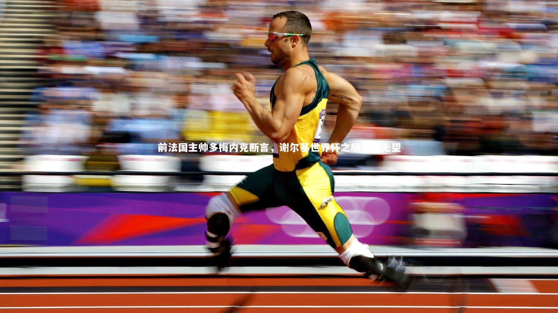 前法国主帅多梅内克断言,谢尔基世界杯之旅基本无望