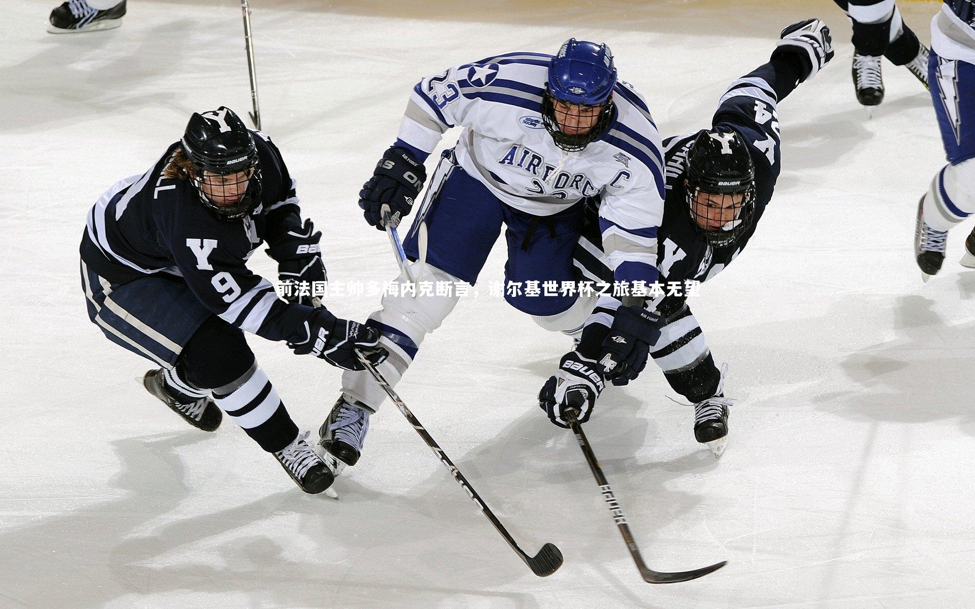 前法国主帅多梅内克断言,谢尔基世界杯之旅基本无望